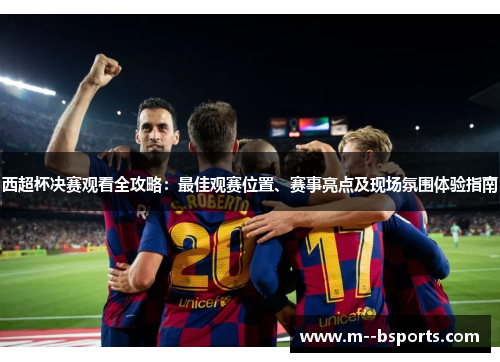 西超杯决赛观看全攻略：最佳观赛位置、赛事亮点及现场氛围体验指南